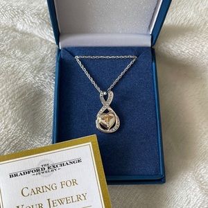 Bradford Exchange Work of Heart Healthcare necklace